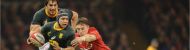 Wales vs South Africa 